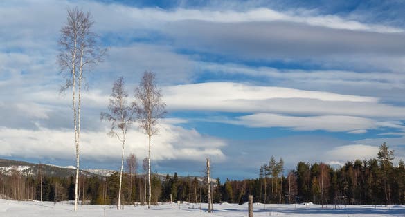 Photo of snowing in winter , Kongsberg, Norway.