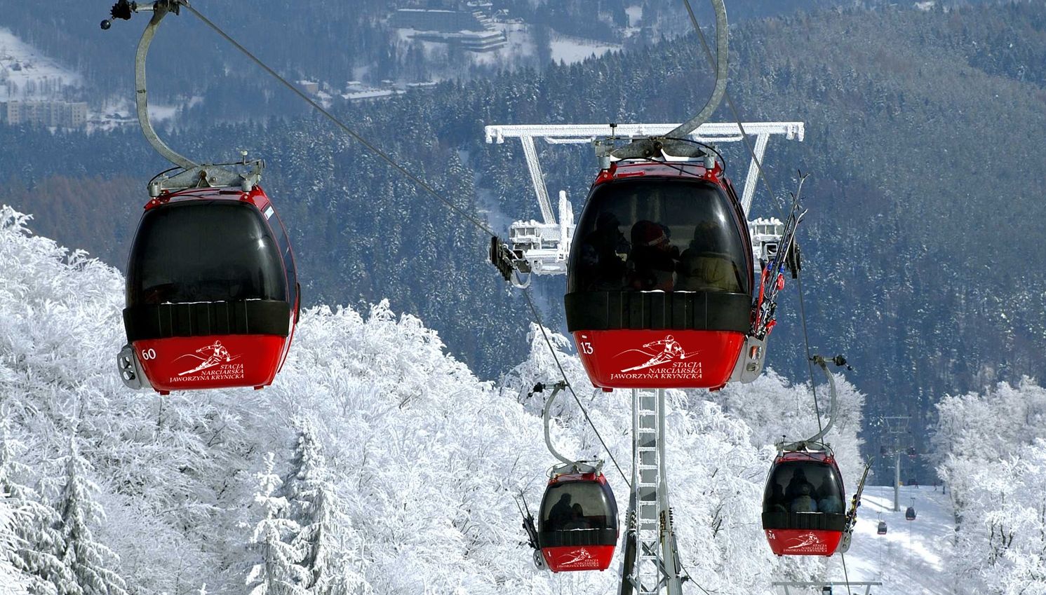 Kolej Gondolowa Jaworzyna Krynicka, Krynica-Zdrój, gmina Krynica-Zdrój, Nowy Sącz County, Lesser Poland Voivodeship, Poland