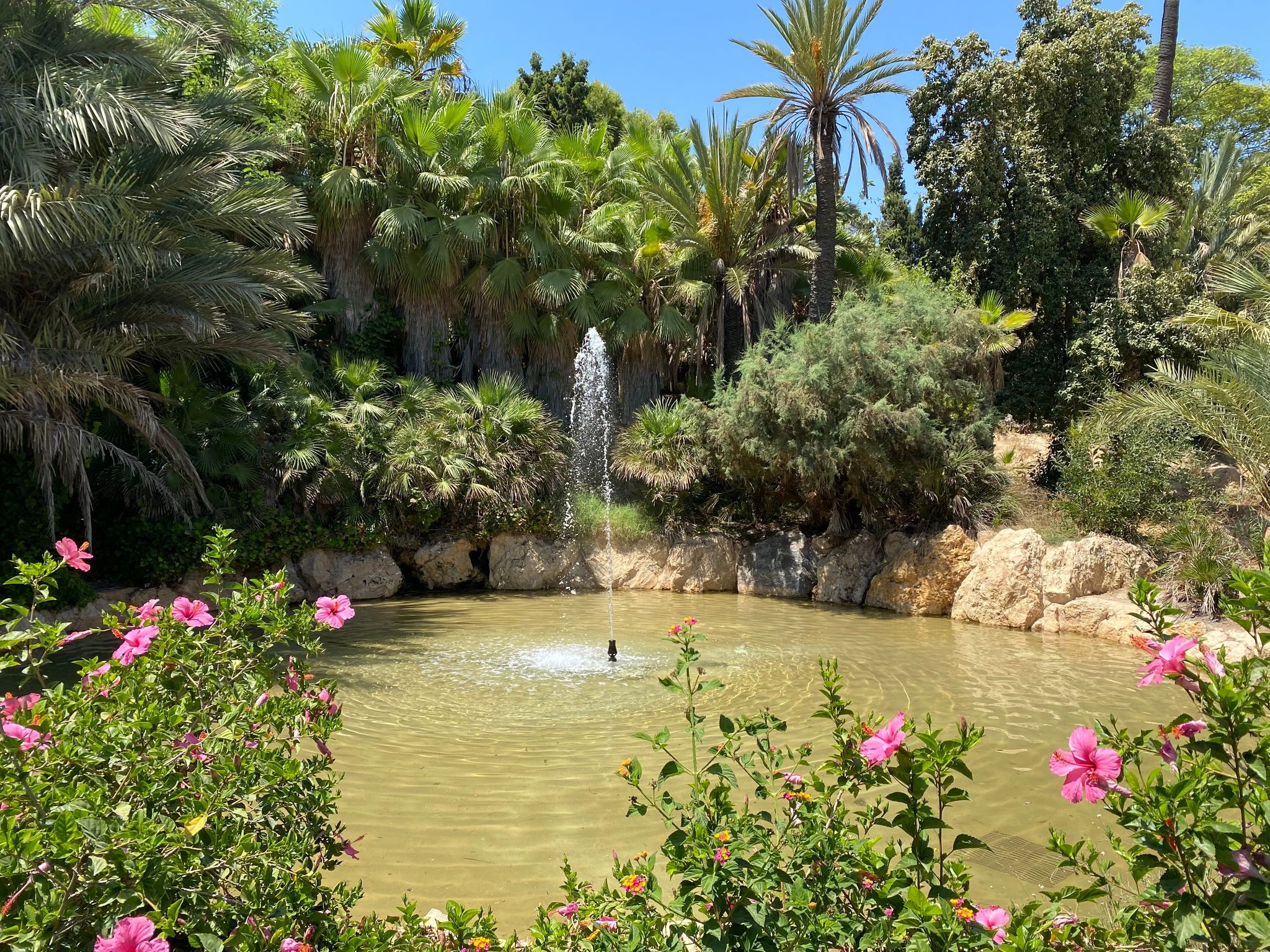 Photo of Parc El Palmeral, Alicante, Spain.