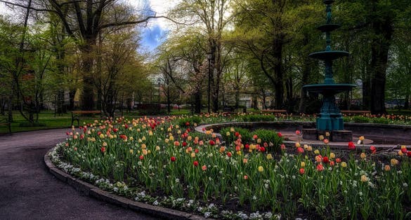 photo of Stadsträdgården in Karlstad, Sweden.