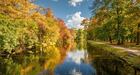 Aerial view to autumn river Brda in Bydgoszcz, Poland. Polish golden autumn in nature.