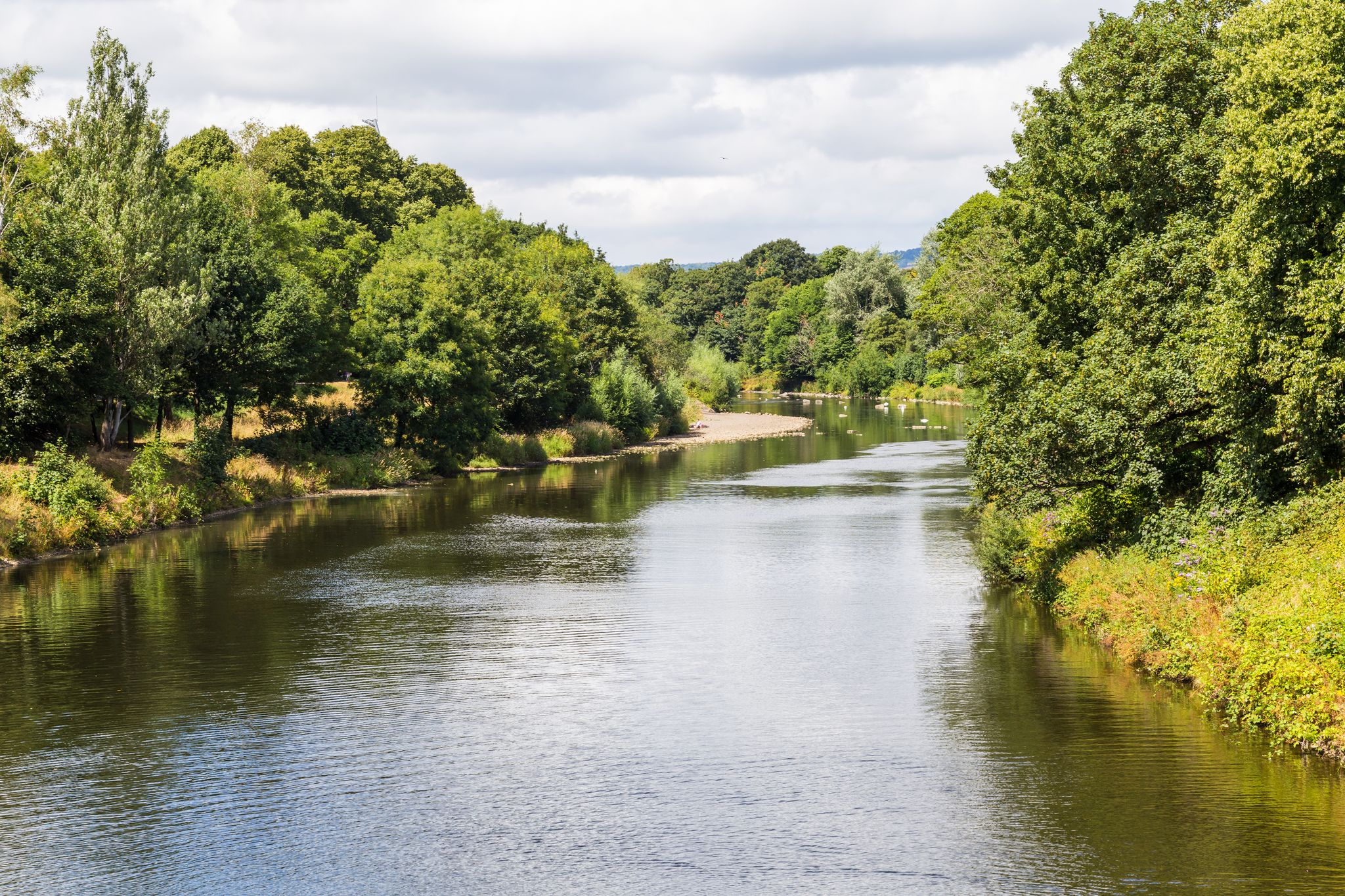 Bute park and Taff river in the centre of Cardiff, Wales, UK.