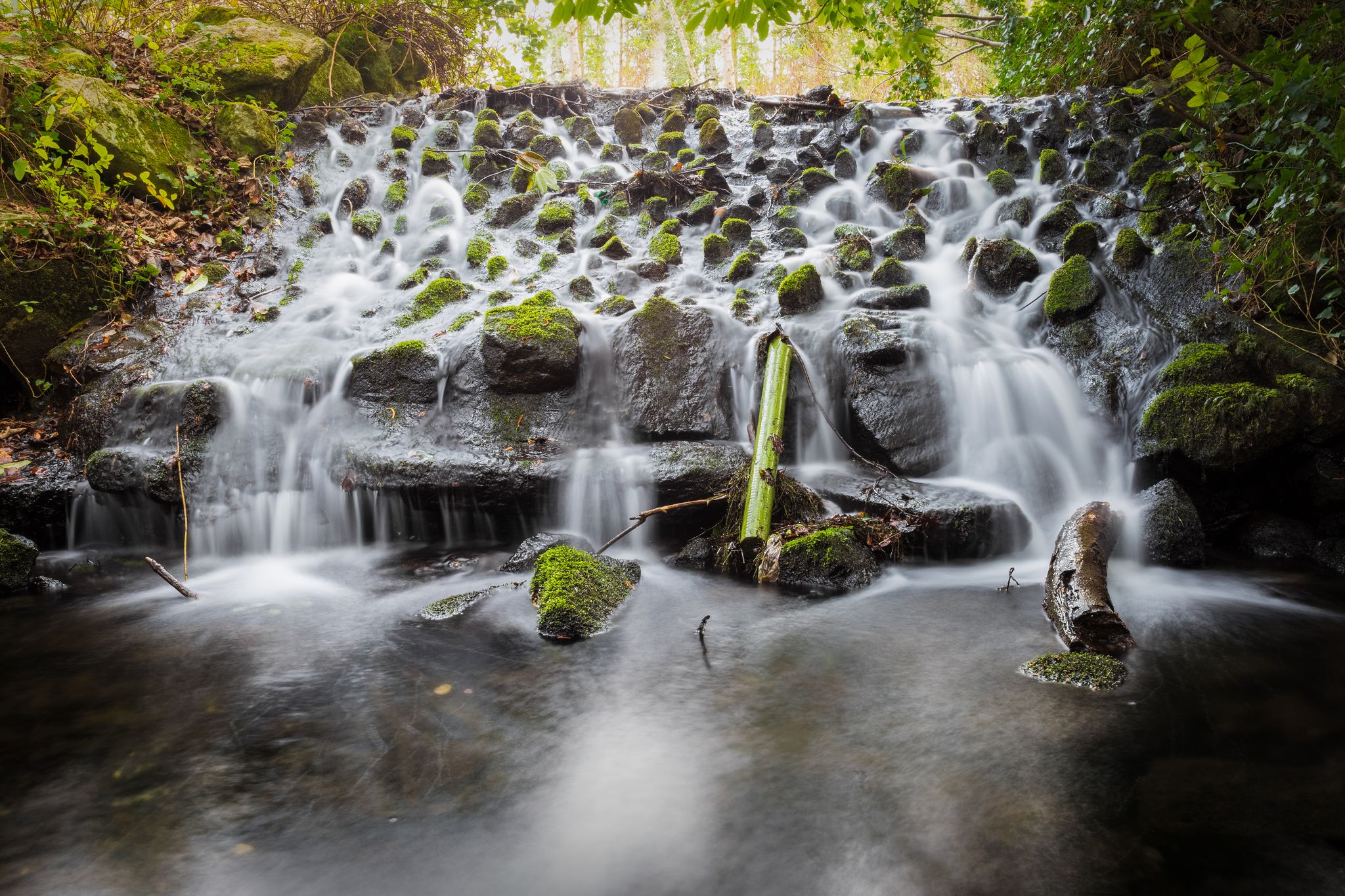 Photo of Small waterfall in Marlay Park, Dublin, Ireland.