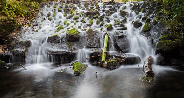 Photo of Small waterfall in Marlay Park, Dublin, Ireland.