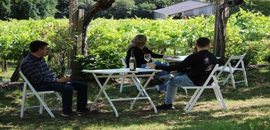 Guided tour of Bodegas Granbazán