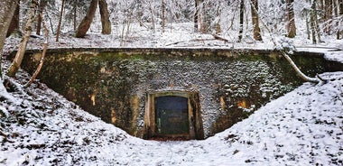 Explore Hitlers Mountain World War II Tour