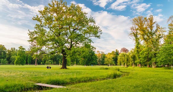 Photo of beautiful evening in Stromovka Park, Prague, Czech Republic.