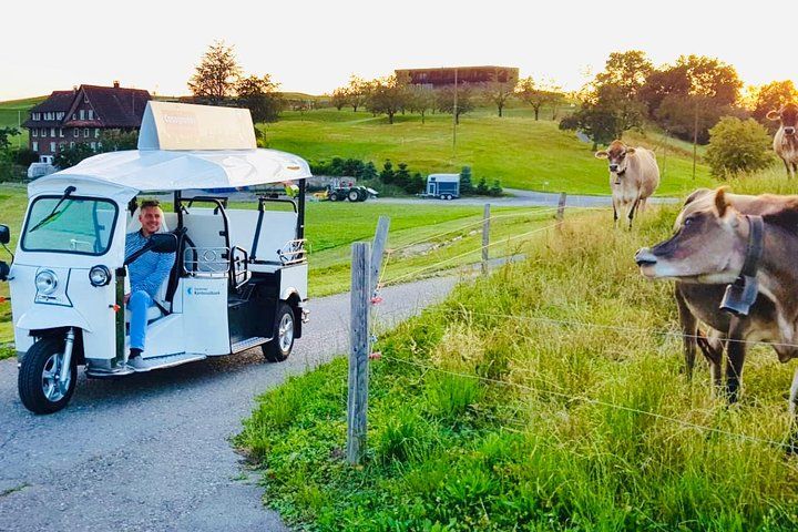 City Tour Plus Lucerne by Etuktuk