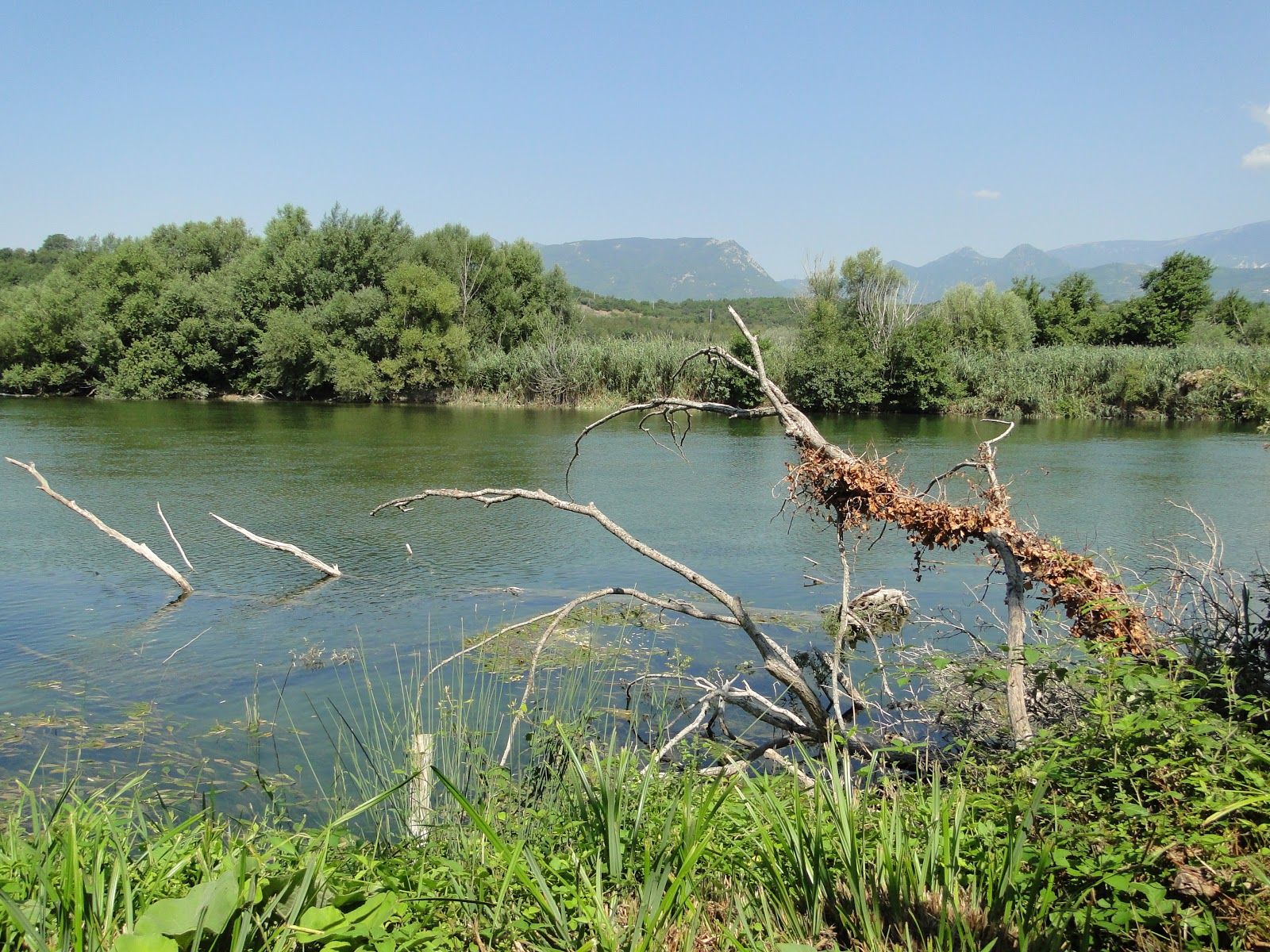 WWF Persano, Serre, Salerno, Campania, Italy
