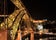 Luís I Bridge, Sé, Cedofeita, Santo Ildefonso, Sé, Miragaia, São Nicolau e Vitória, Porto, Área Metropolitana do Porto, North, Portugal