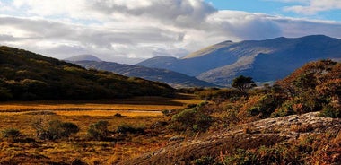 Ring of Kerry Day Tour from Cork: Including Killarney National Park