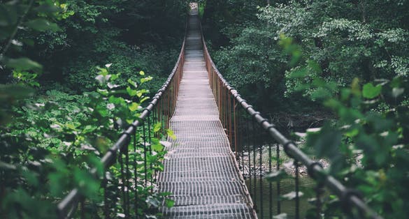 Photo of Summer landscape of Vadu Crisului, Transylvania, Romania, Europe .