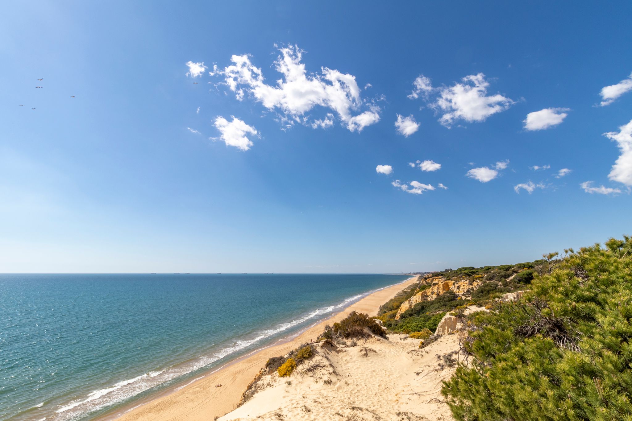 One of the most beautiful beaches in Spain, called (Asperillo, Huelva). Surrounded by dunes, vegetation and cliffs. a magnificent beach.