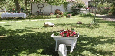  Private Shore Excursion at Ancient Olympia from Katakolo port