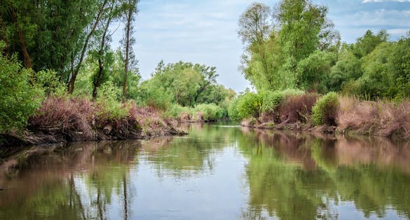 Photo of Danube Delta in Tulcea county, Romania.