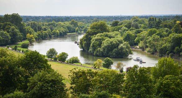 Photo of aerial view of Fields of Richmond park in London, UK.