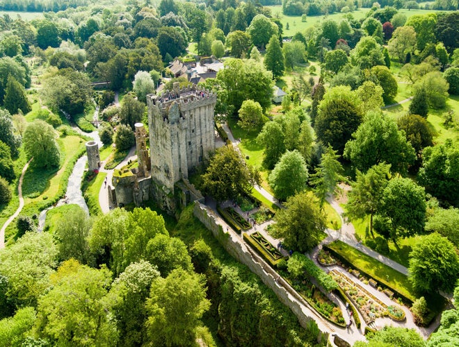 shutterstock_2426821395.jpg