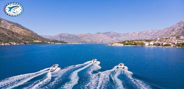 Montenegro Boat Tour from Kotor