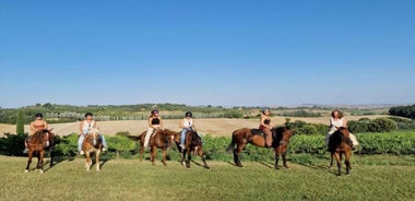 Siena: Horseback Riding Tour in the Tuscany Countryside