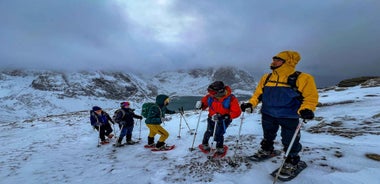 Lofoten: Half Day Snowshoe Tour