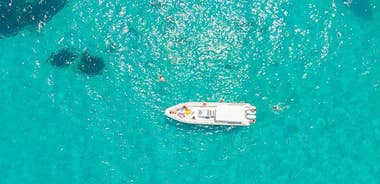 Full Day Boat Tour San Vito Lo Capo to Castellammare del Golfo