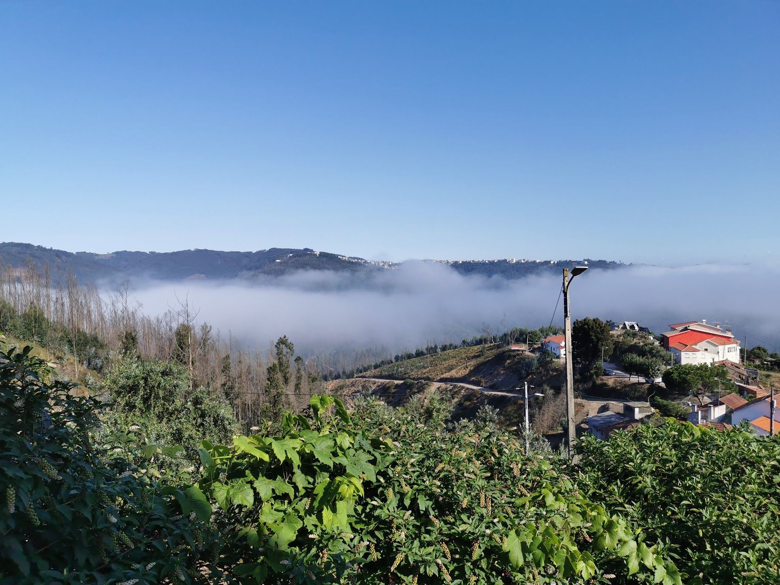 Casa de Campo de Soutelo, Arrifana, Vila Nova de Poiares, Coimbra, Pinhal Interior Norte, Centro, Portugal