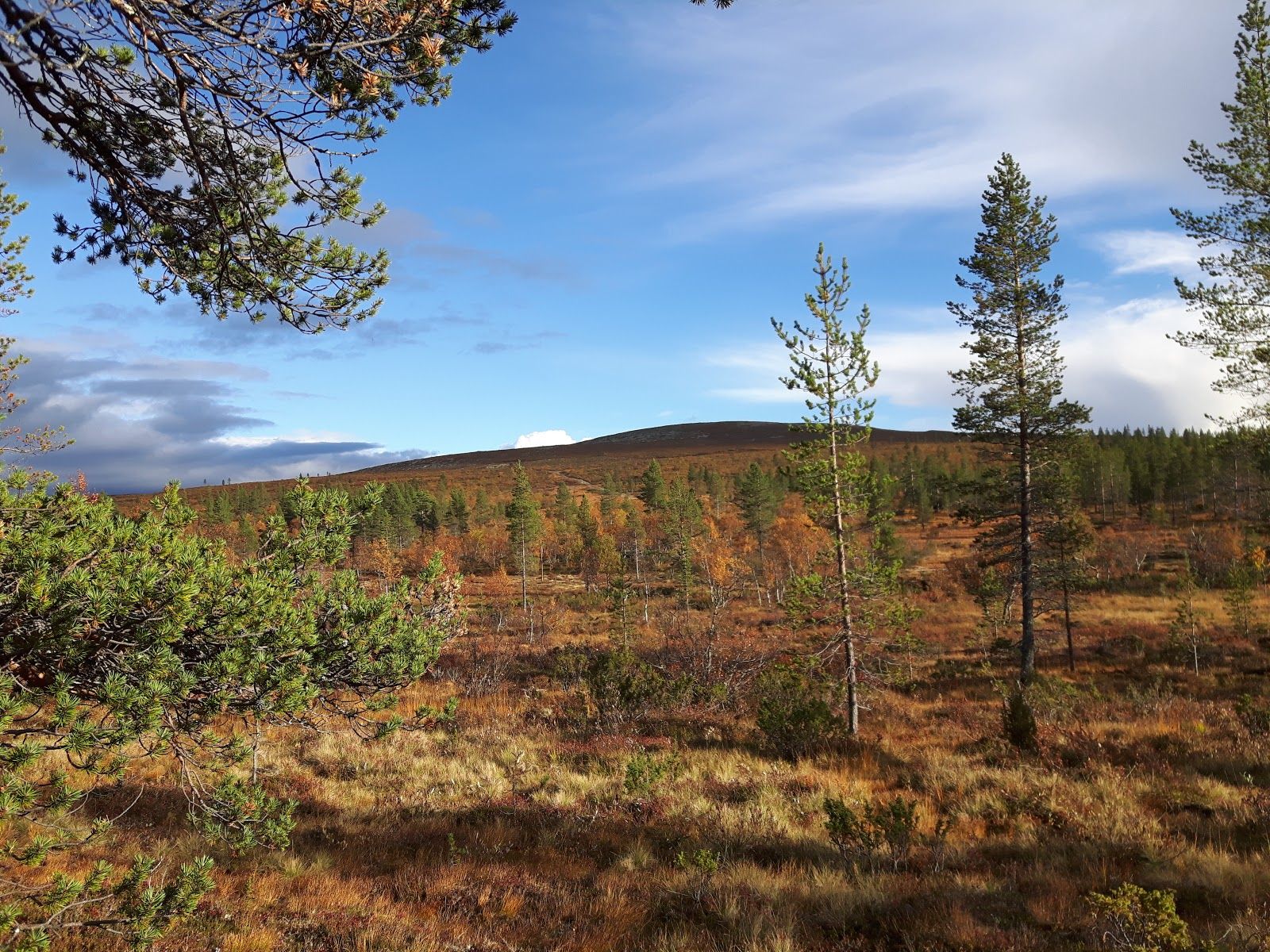 Urho Kekkonen National Park, Sodankylä, Pohjois-Lapin seutukunta, Lapland, Mainland Finland, Finland