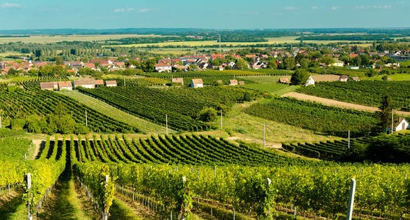 photo of view of Pecs or Pécs city in Hungary near Villany town with grape field and city center are amazing in central Europe