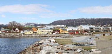 City walk in Mo I Rana