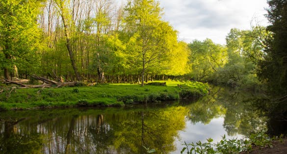 Photo of Spring in Pollok Country Park in Glasgow, Scotland. White Cart Water and Trees .