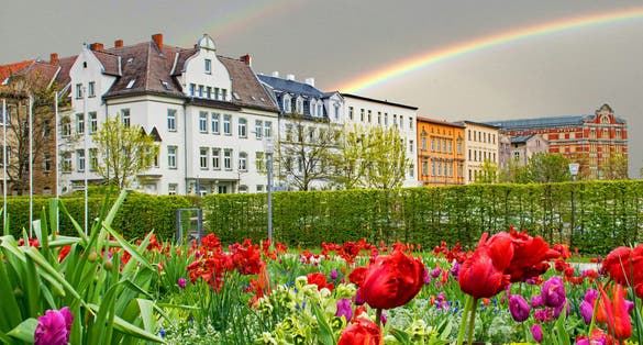 Rainbow over the town of Zeitz in Saxony-Anhalt, Germany with blooming tulips in front
