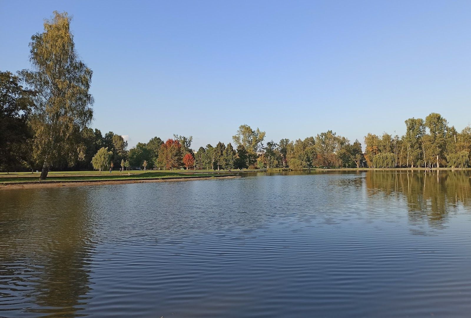 Park Stromovka, České Budějovice 2, České Budějovice, okres České Budějovice, Jihočeský kraj, Southwest, Czechia