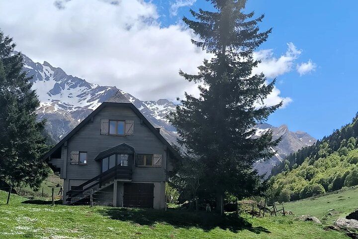 Pamplona de Bocado en Bocado: Join Our Pintxo Tour!