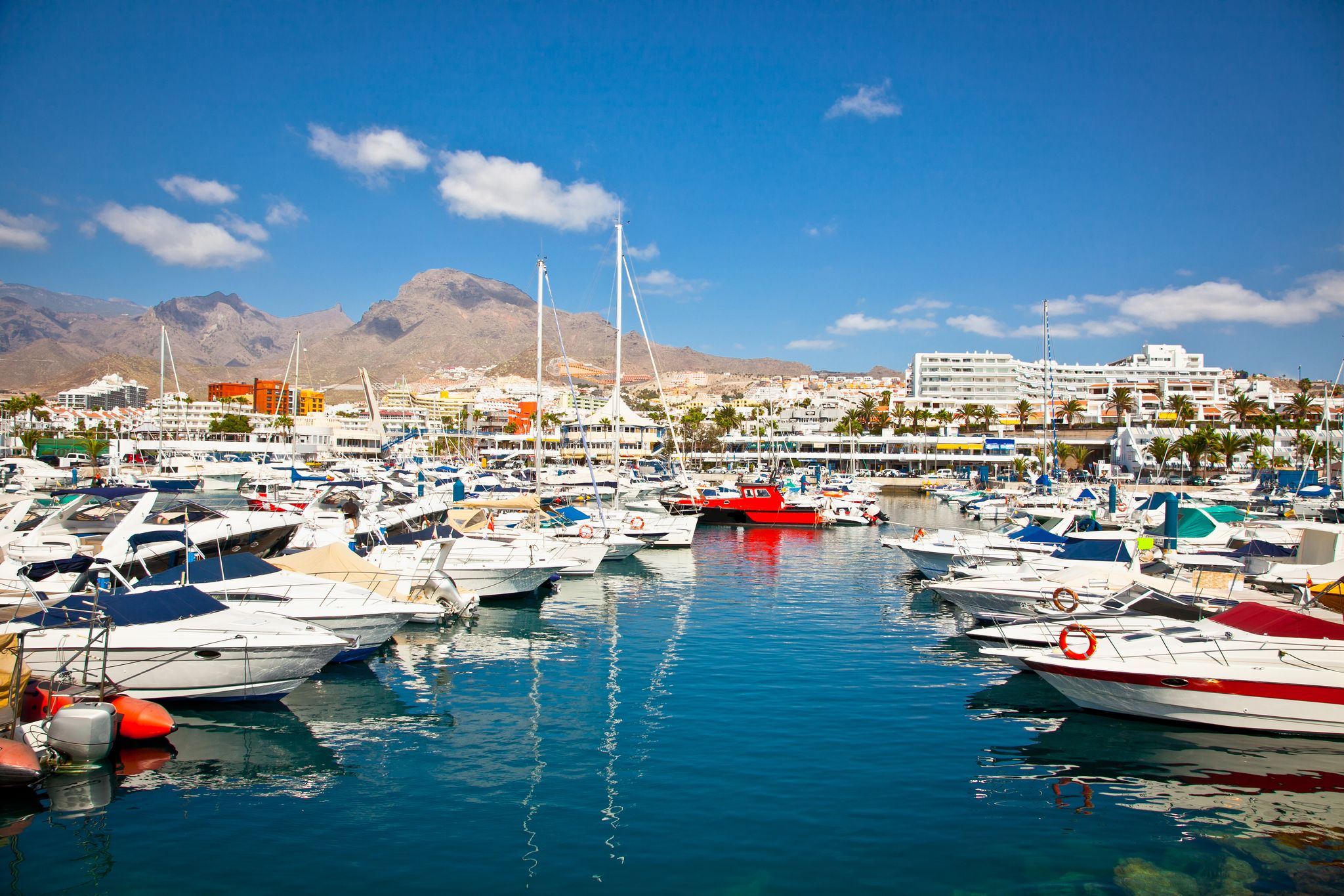 photo of aerial view of El Duque beach at Costa Adeje, Tenerife, Canary Islands, Spain.