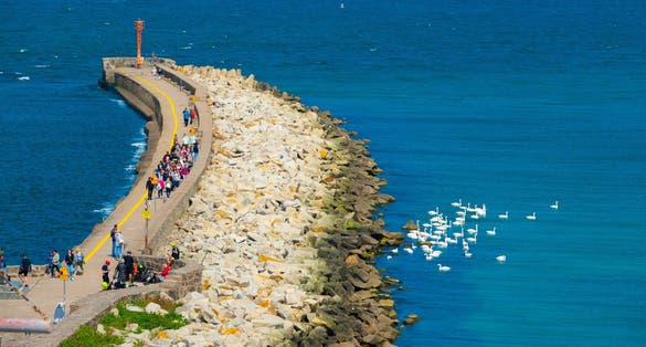 Embankment of the baltic sea with swans in early spring. city ustka, poland