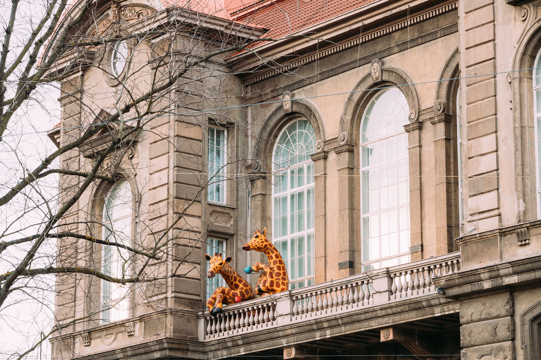 Helsinki, Finland. Amusing Installation As Giraffe Drinking Tea On Balcony Of Natural History Museum Of Helsinki.