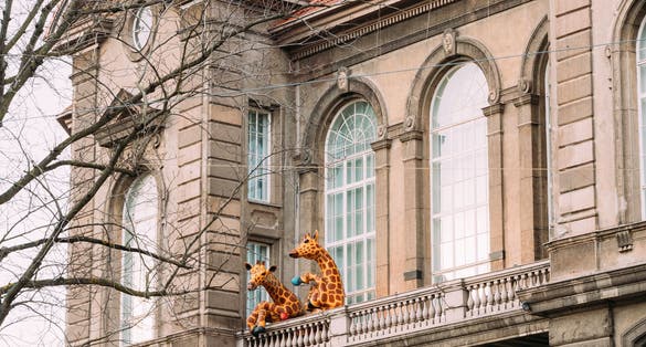 Helsinki, Finland. Amusing Installation As Giraffe Drinking Tea On Balcony Of Natural History Museum Of Helsinki.