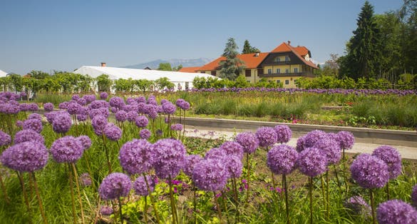 Botanical garden Volcji Potok, Kamnik, Slovenia