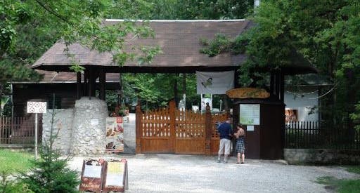 photo of Miskolc Zoo .