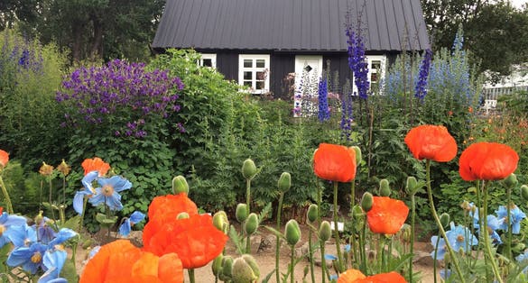 photo of The Akureyri Botanical Garden, Iceland.