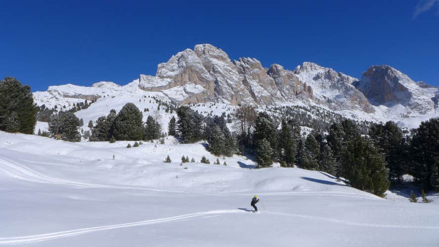 Selva di Val Gardena