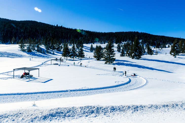 A sunny day in mountain, Folgaria, Italy