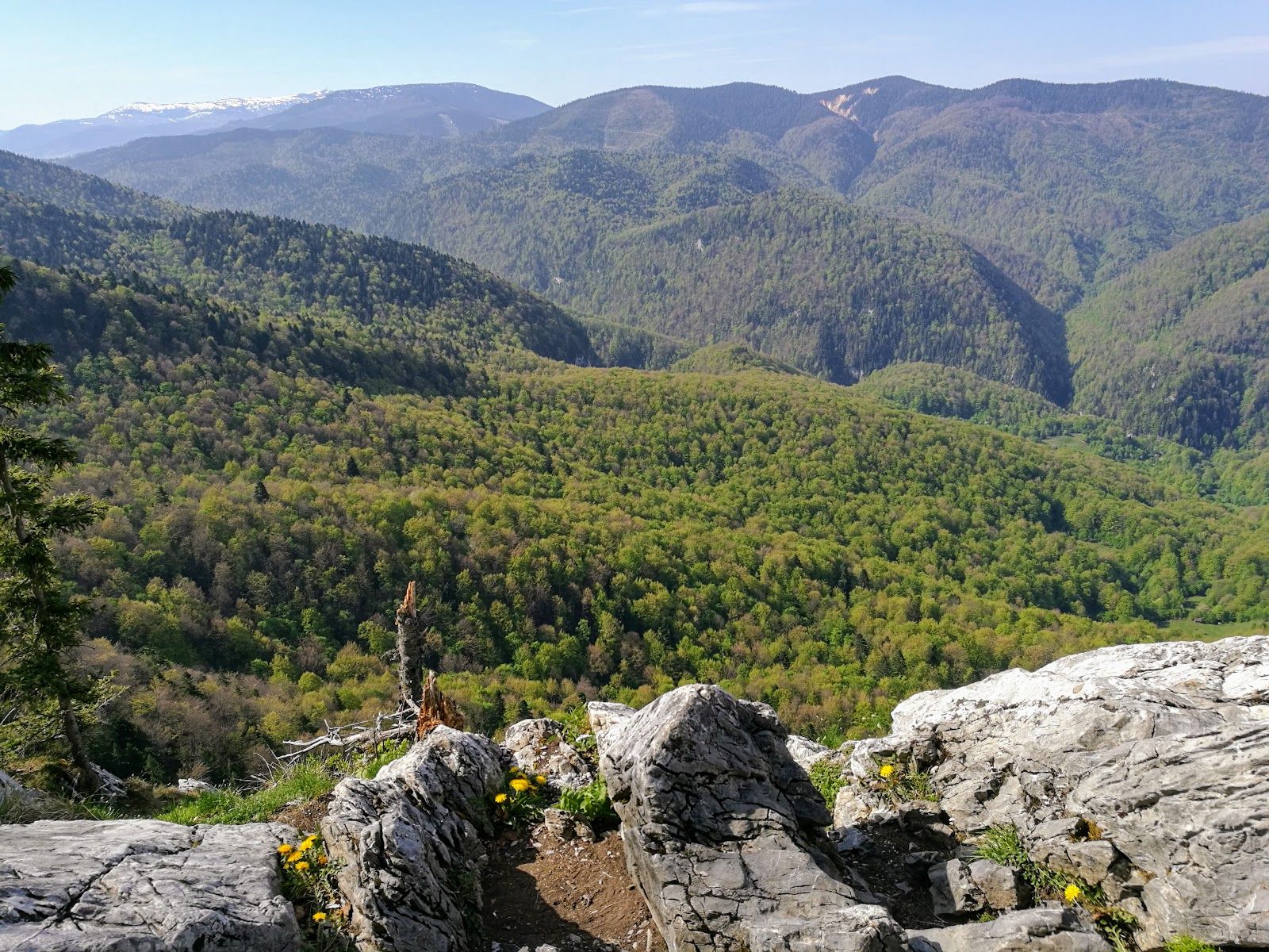 Parcul Natural Apuseni, Bihor, Romania