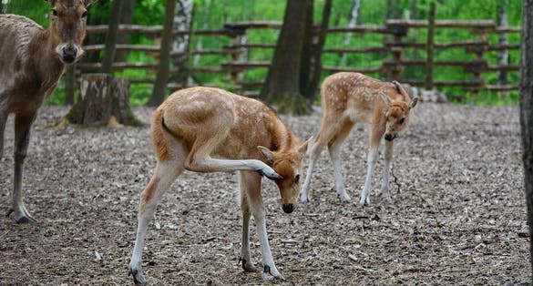 photo of Miskolc Zoo .