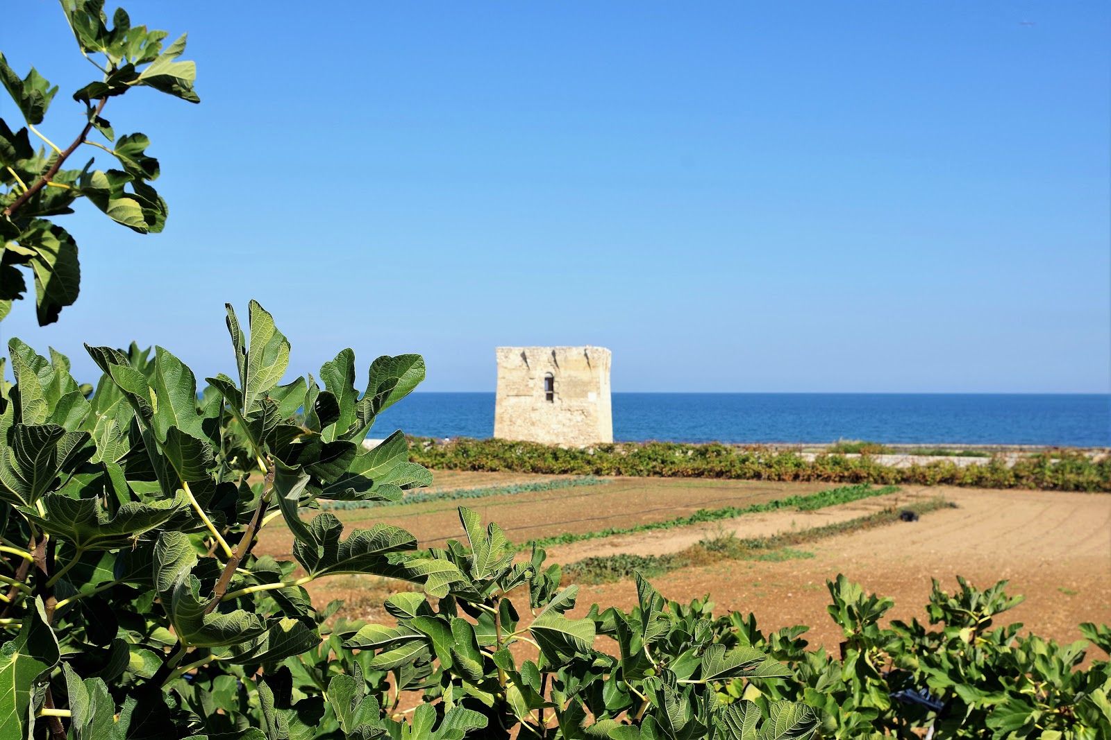 Spiaggia San Vito, Polignano a Mare, Bari, Apulia, Italy