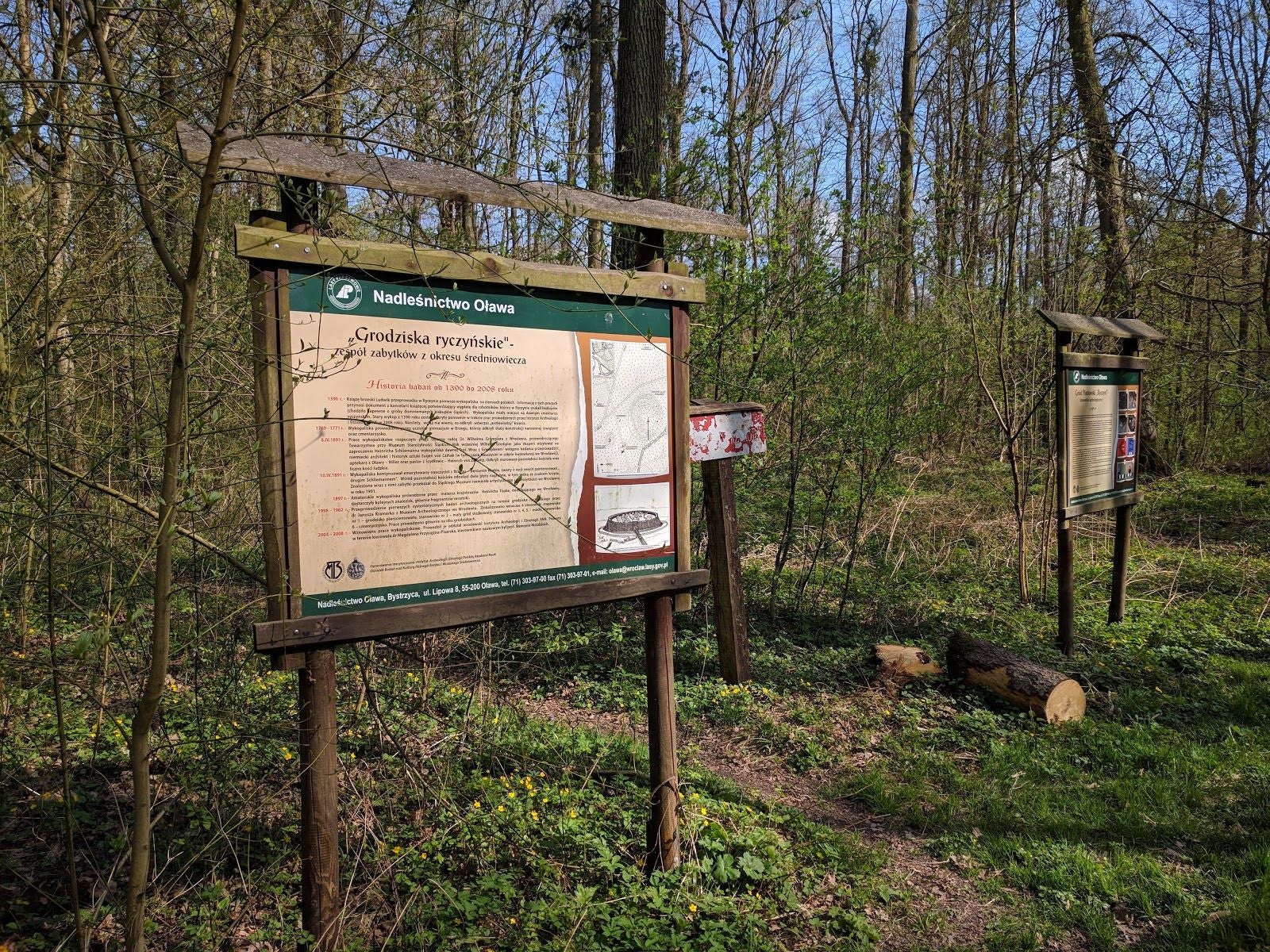 Rezerwat przyrody Grodzisko Ryczyńskie, Bystrzyca, gmina Oława, Oława County, Lower Silesian Voivodeship, Poland