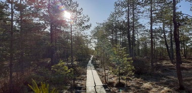 Lahti: Guided Nature Walk The Heart of The Swamp