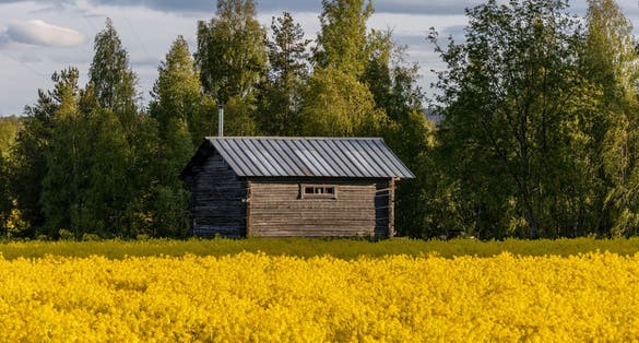 photo of view of Young girl walking with snow shoes looking over vast landscape in horizon. View over Skellefteå, Sweden.