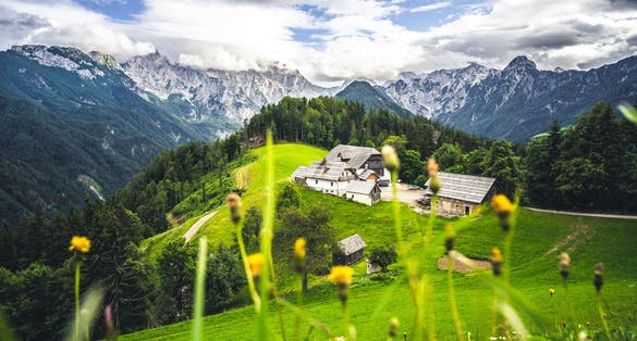 Summer alpine countryside landscape with high mountains and farms in the forest glade. Logar valley (Logarska Dolina) from the panoramic road, Solcava, Slovenia.