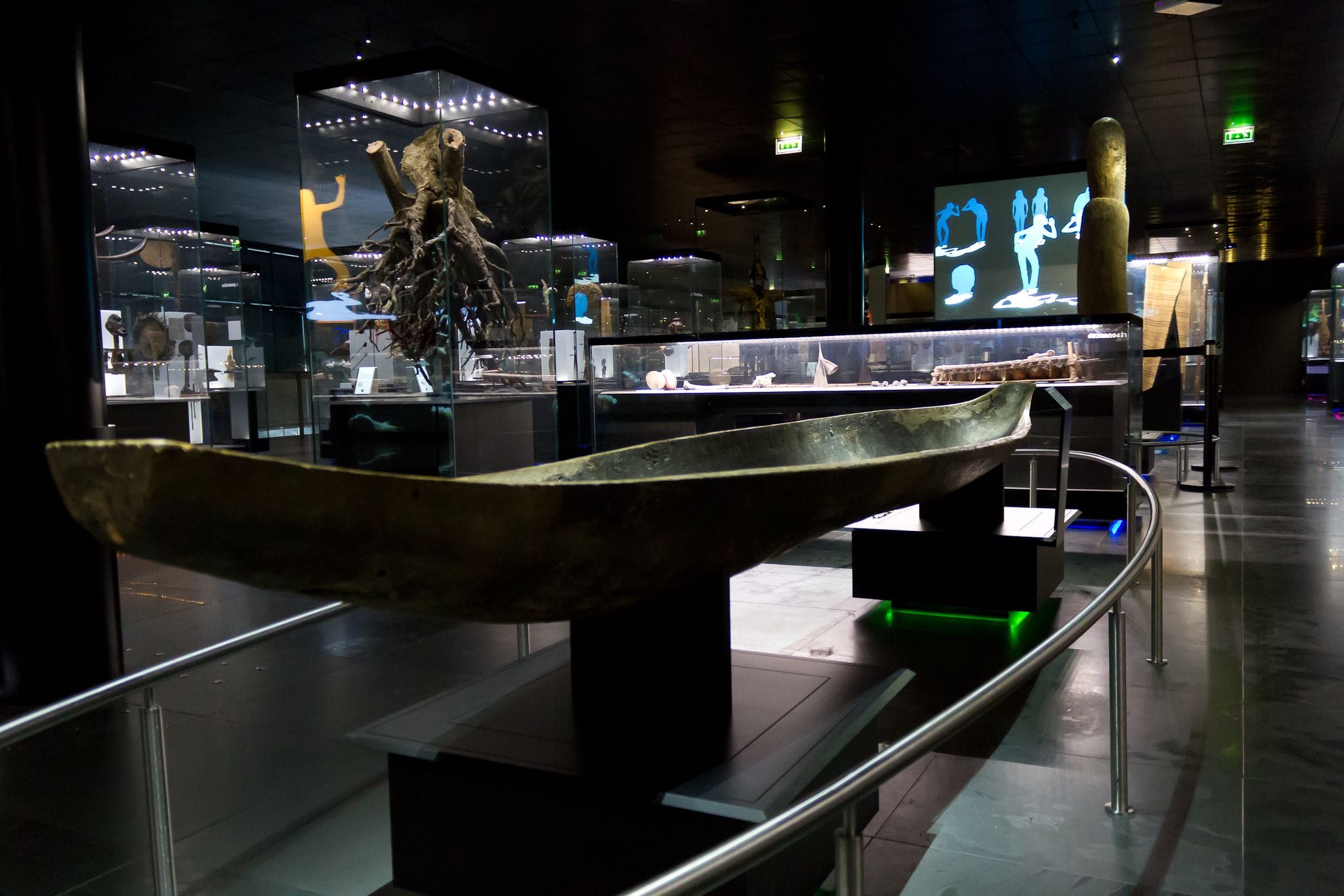 Permanent exhibition of Muséum de Toulouse